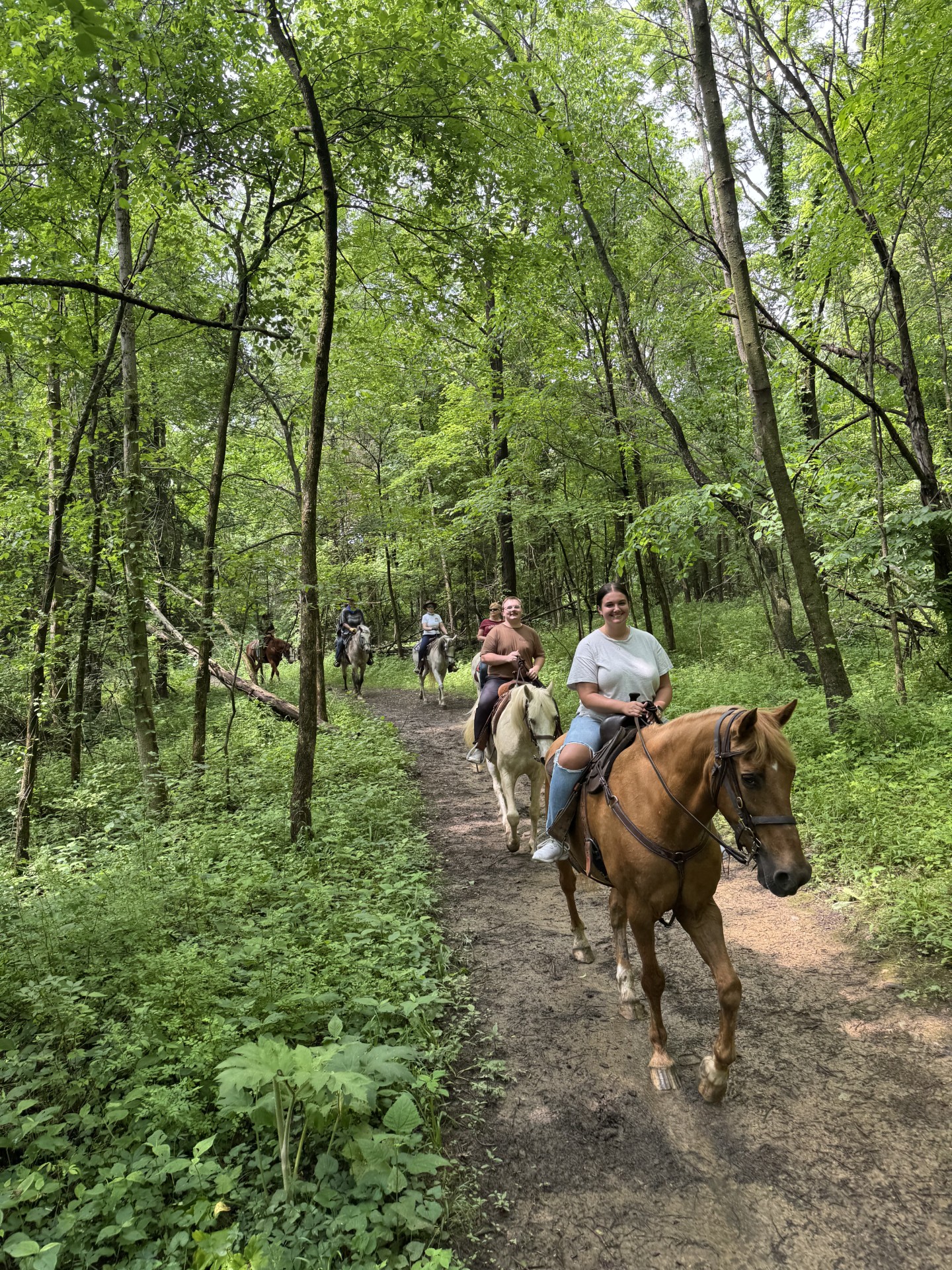 Infirmary Mound Park Ride Thumbnail